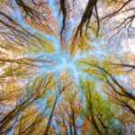 Agriculture de précision : un équilibre entre productivité et respect de l’environnement